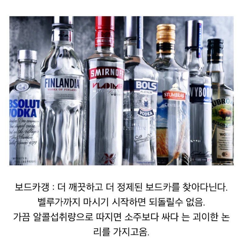 술꾼들 사이에서 나누어져 있는 주종별 파벌소개 -5