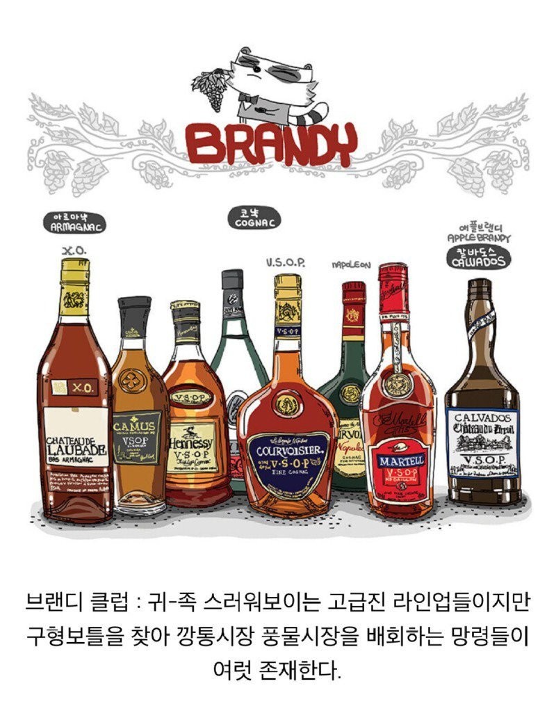 술꾼들 사이에서 나누어져 있는 주종별 파벌소개 -6