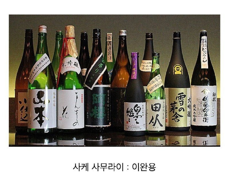 술꾼들 사이에서 나누어져 있는 주종별 파벌소개 -10