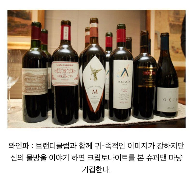 술꾼들 사이에서 나누어져 있는 주종별 파벌소개 -11