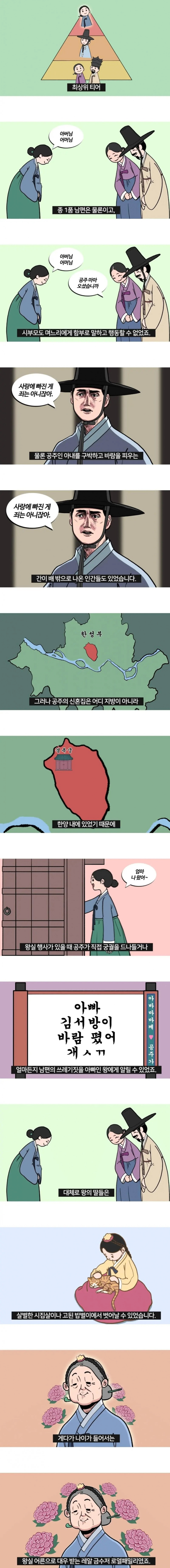 조선시대 공주 옹주로 태어나면 좋은 이유 -2