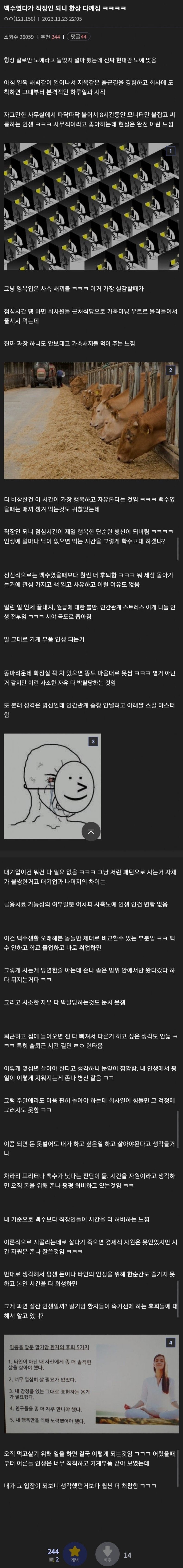 백수였다가 직장인 되니 환상 다깨짐