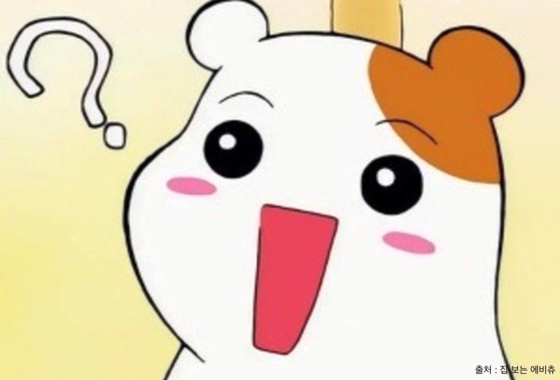 30년 째 검토만 한다는 수도권 난제-6