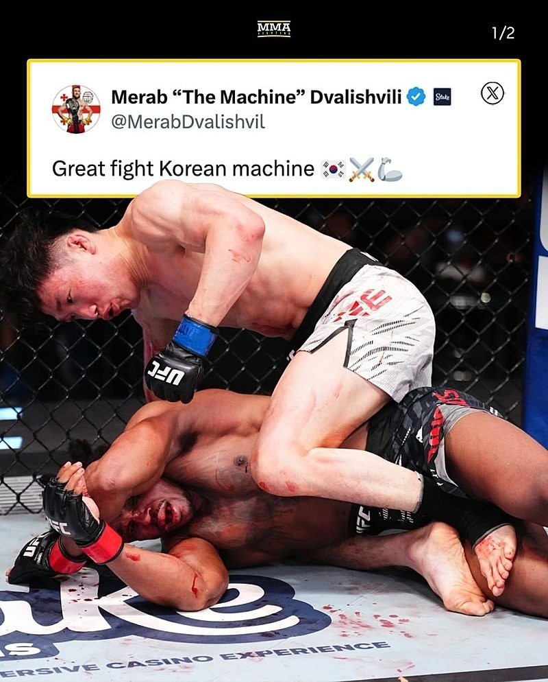 최근 UFC 한국인들 근황 