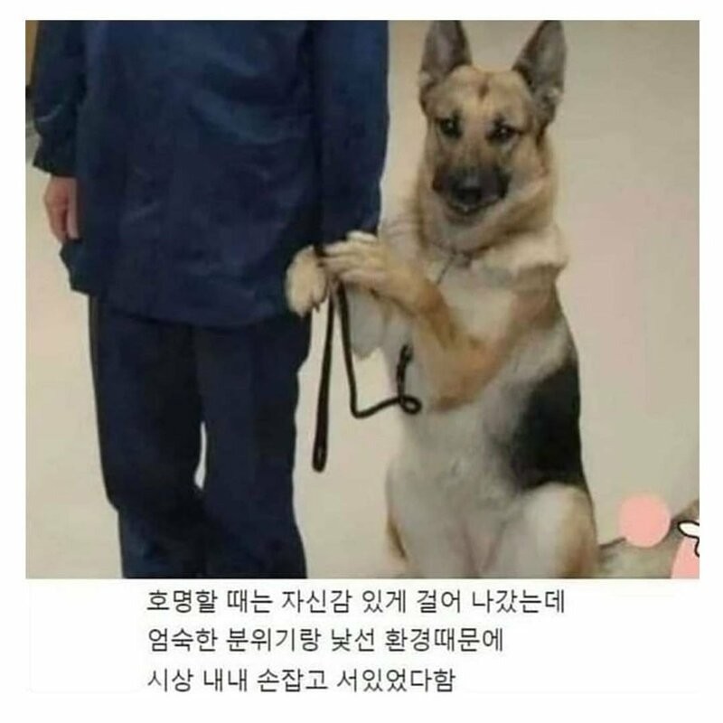 실종된 초등학생을 3분만에 찾은 경찰-2