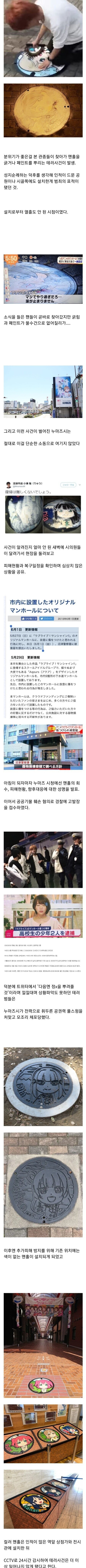 어느 일본도시의 캐릭터 맨홀 테러사건-2