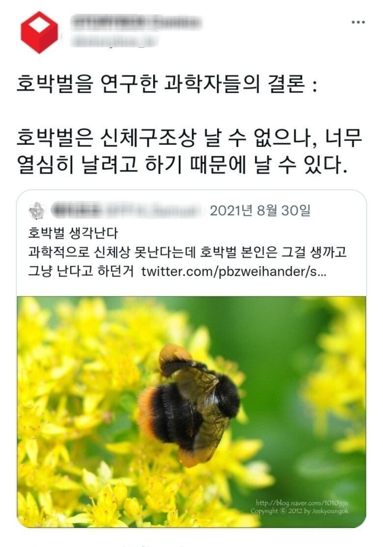 곤충들 중 귀여움류 1티어 -5