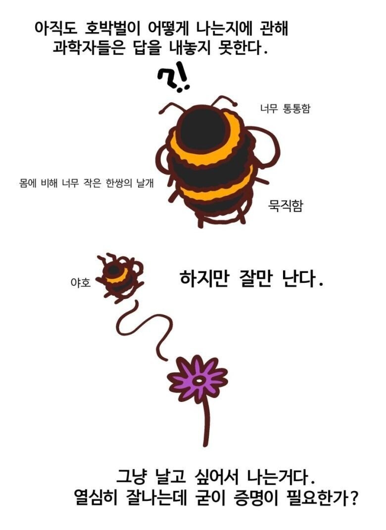 곤충들 중 귀여움류 1티어 -6