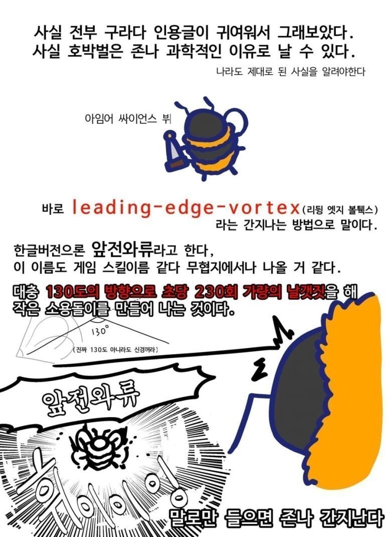 곤충들 중 귀여움류 1티어 -7