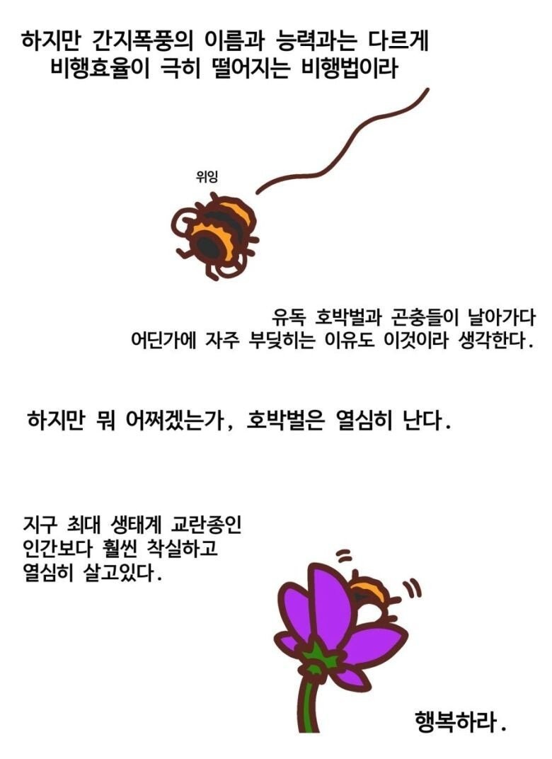 곤충들 중 귀여움류 1티어 -8