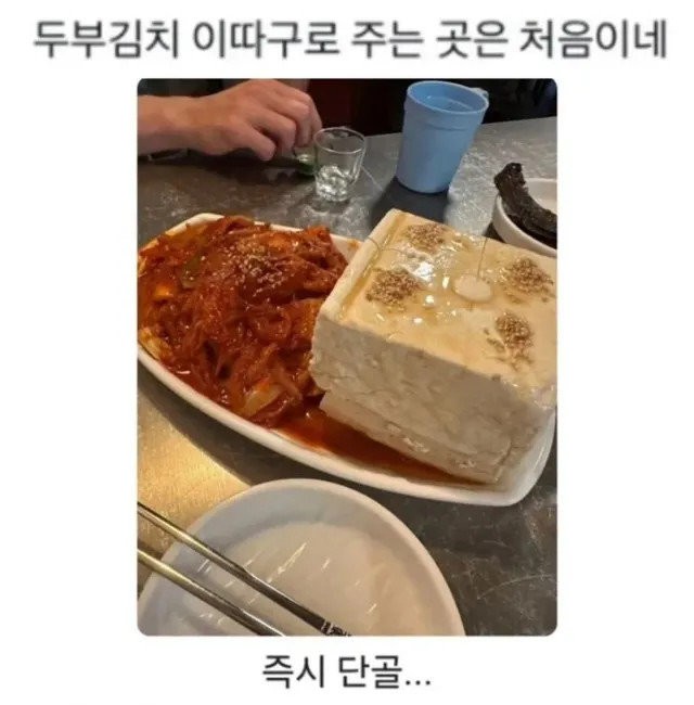 두부김치 이따구로 주는 곳은 처음이네