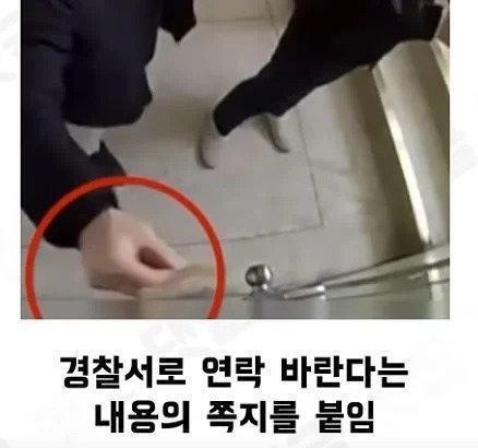 집앞 CCTV 레전드-2