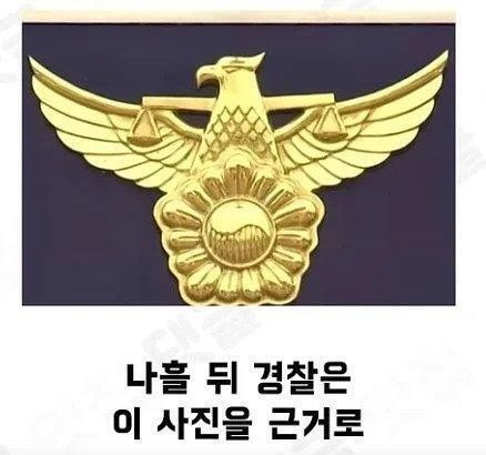집앞 CCTV 레전드-5
