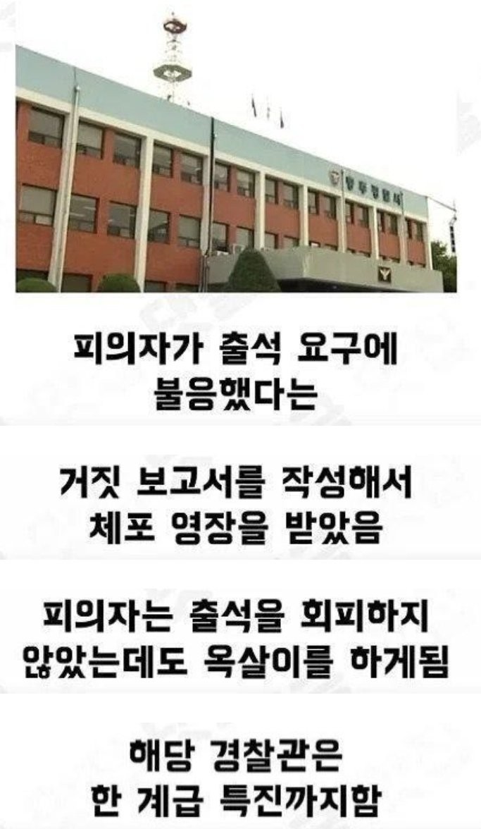 집앞 CCTV 레전드-6