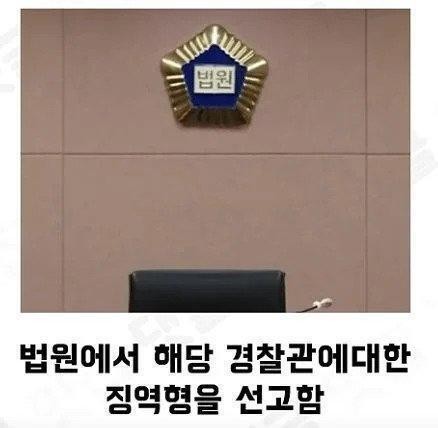 집앞 CCTV 레전드-7