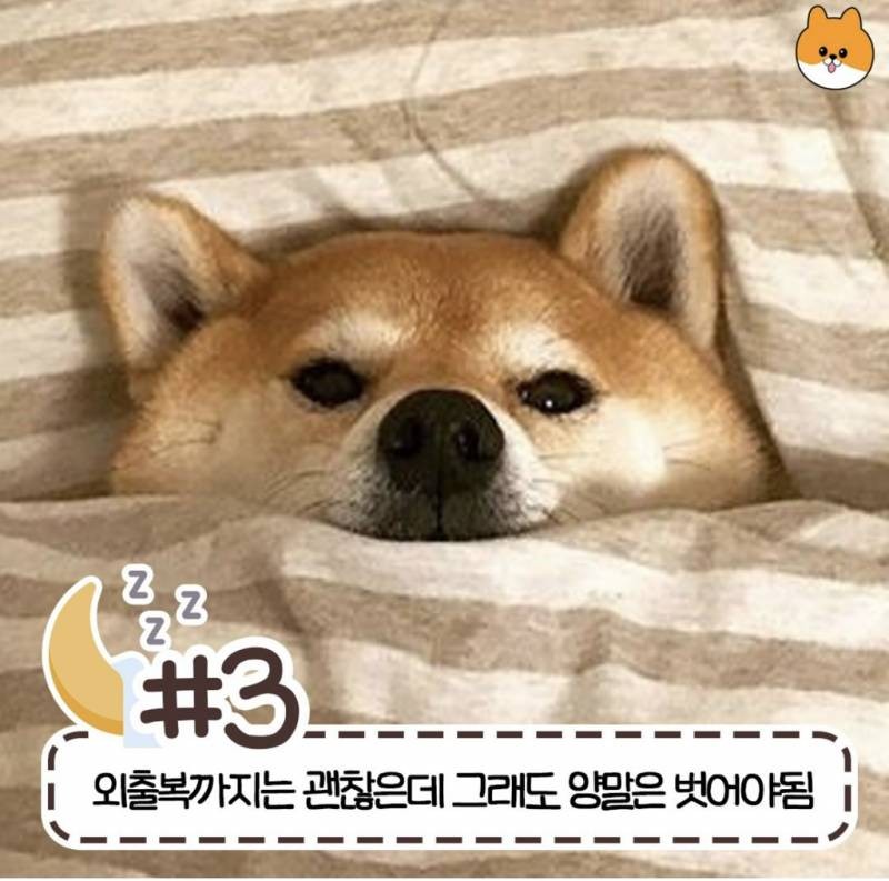 현재 반응갈리는 침대 허용 범위-3