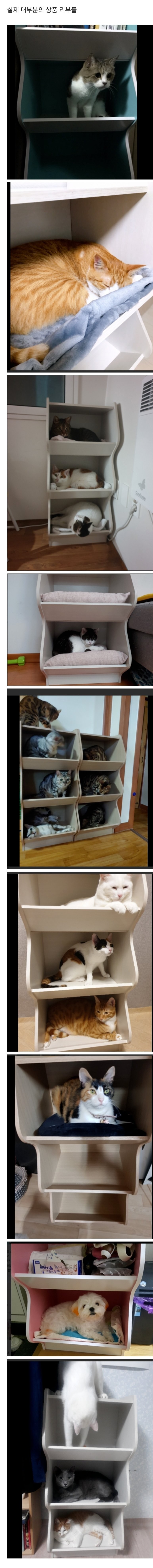 판매자의 의도와 다른 상품 리뷰-2