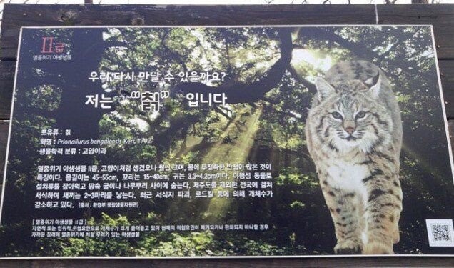 "저는 칡입니다" 짤의 진실 