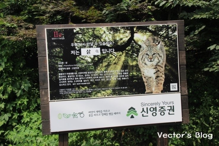"저는 칡입니다" 짤의 진실 -2