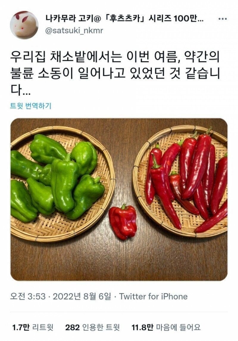 집앞 텃밭에서 불륜현장을 발견한 일본인 