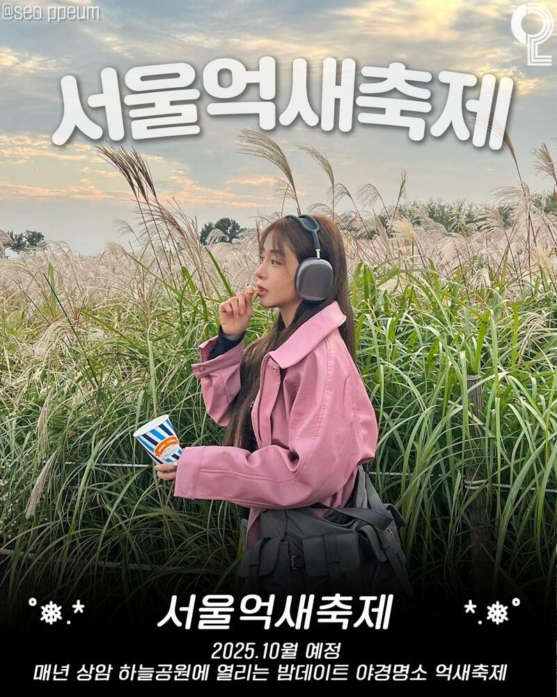 애인이랑 갈만한 25년 하반기 서울시 축제 모음 -10