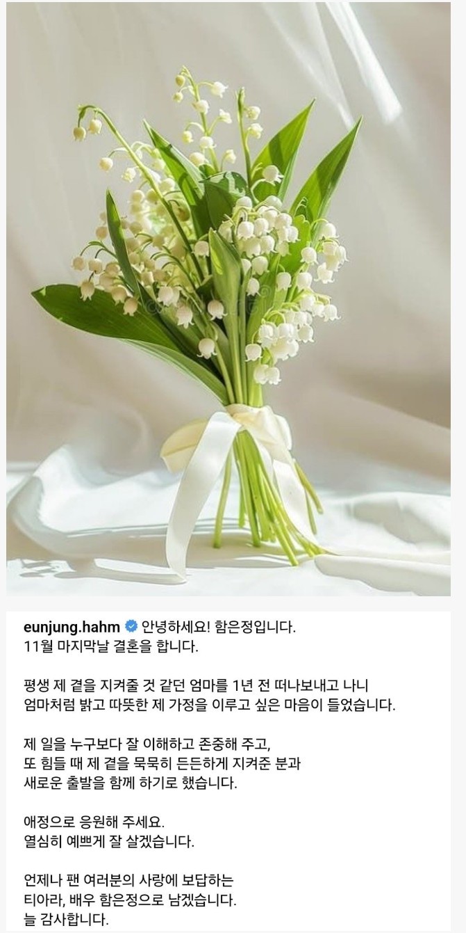 티아라 함은정 결혼 관련 입장문