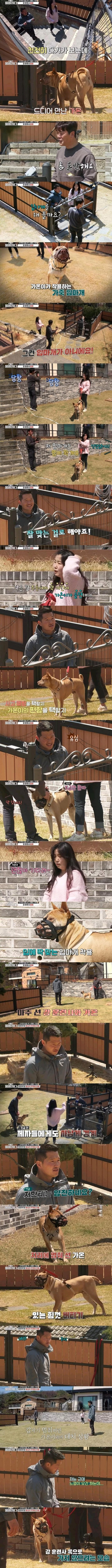 개물림 사고 대부분 원인...ㄷㄷ