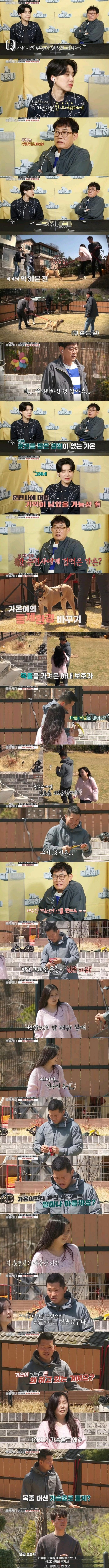 개물림 사고 대부분 원인...ㄷㄷ-2