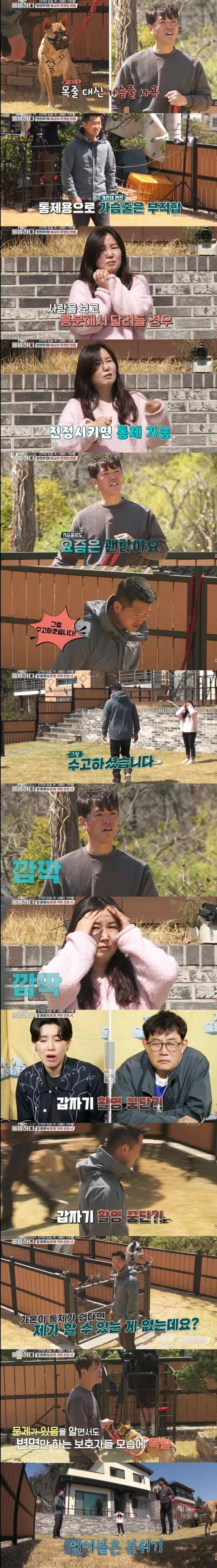개물림 사고 대부분 원인...ㄷㄷ-3