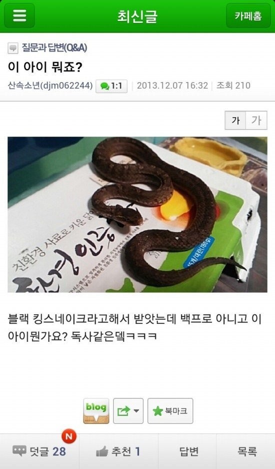 애완용 뱀 구매했는데 독사 받은 사건 ㄷㄷ 