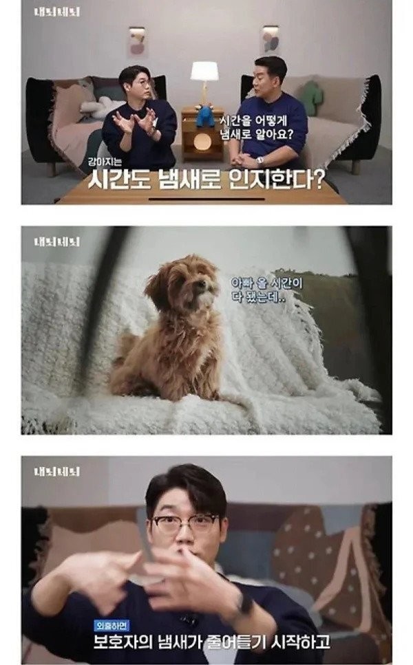 강아지가 주인의 퇴근시간을 인식하는 방법