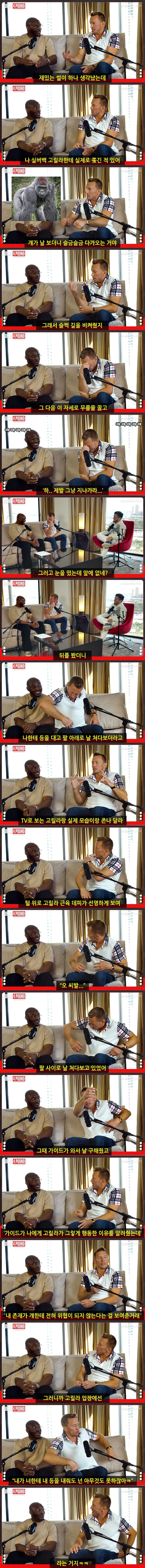 고릴라한테 쫄았던 썰 푸는 UFC 전설-2