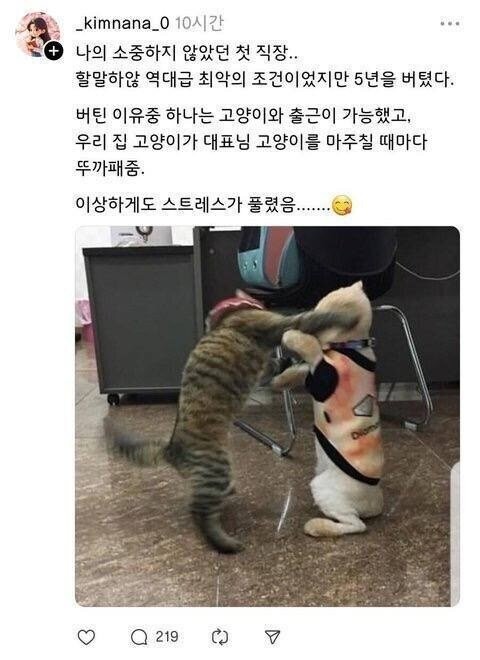 좋소에서 5년을 버틸수 있었던 원동력