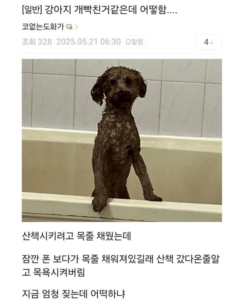 이건 개가 주인 물어도 무죄임 ㄹㅇ