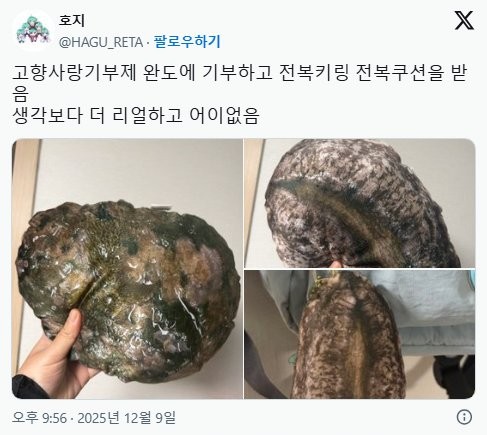 완도에 기부하면 주는 전복 쿠션