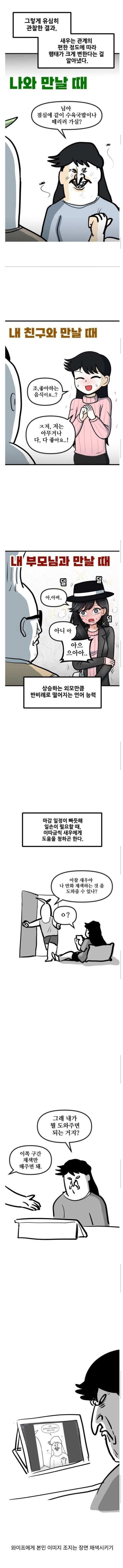 자기 와이프를 관찰하고 그린 웹툰 