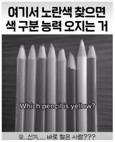 여기서 노란색 찾으면 색 구분 능력 오지는 거