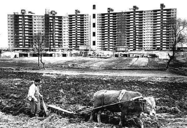 그 시절.. 1970년대 압구정 풍경