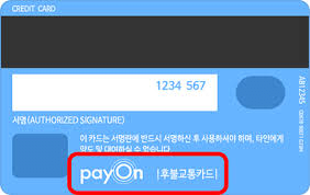 의외로 아직까지 우리나라에서 할 수 없는 것 -4