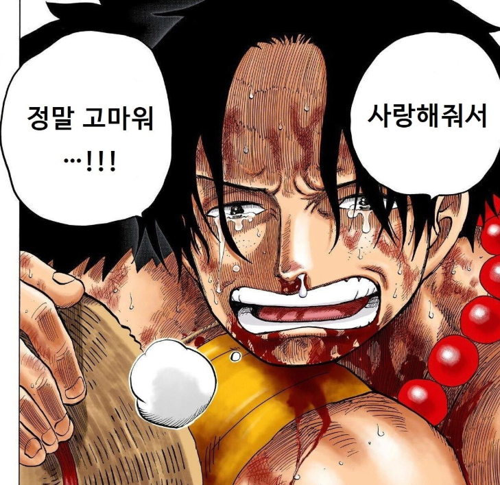 원피스에서 멋있는 설정은 죄다 넣은 캐릭터-12