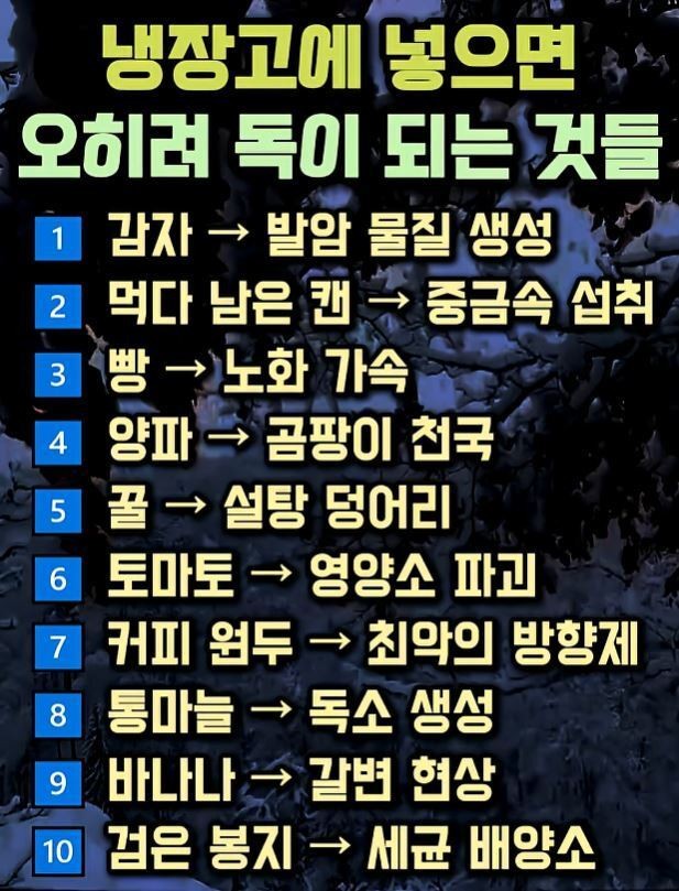 냉장고에 넣으면 오히려 독이 되는 것들