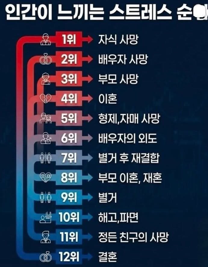 인간에게 가장 큰 스트레스를 주는 일 순위