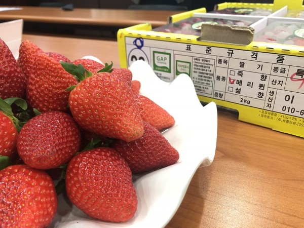 요즘 진짜 퀄리티 미친거 같은 한국 딸기 품종들-5