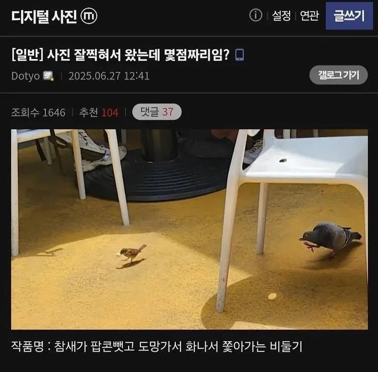 사진 잘 찍혀서 왔는데 몇점짜리임?