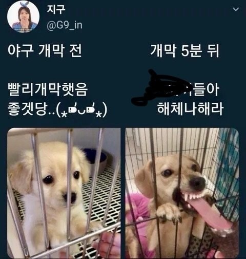 KBO 여성팬이 말하는 개막 전후 변화