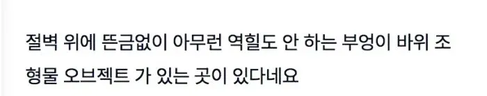 붉은 사막 고인 비하 논란이 개소리인 이유 -3