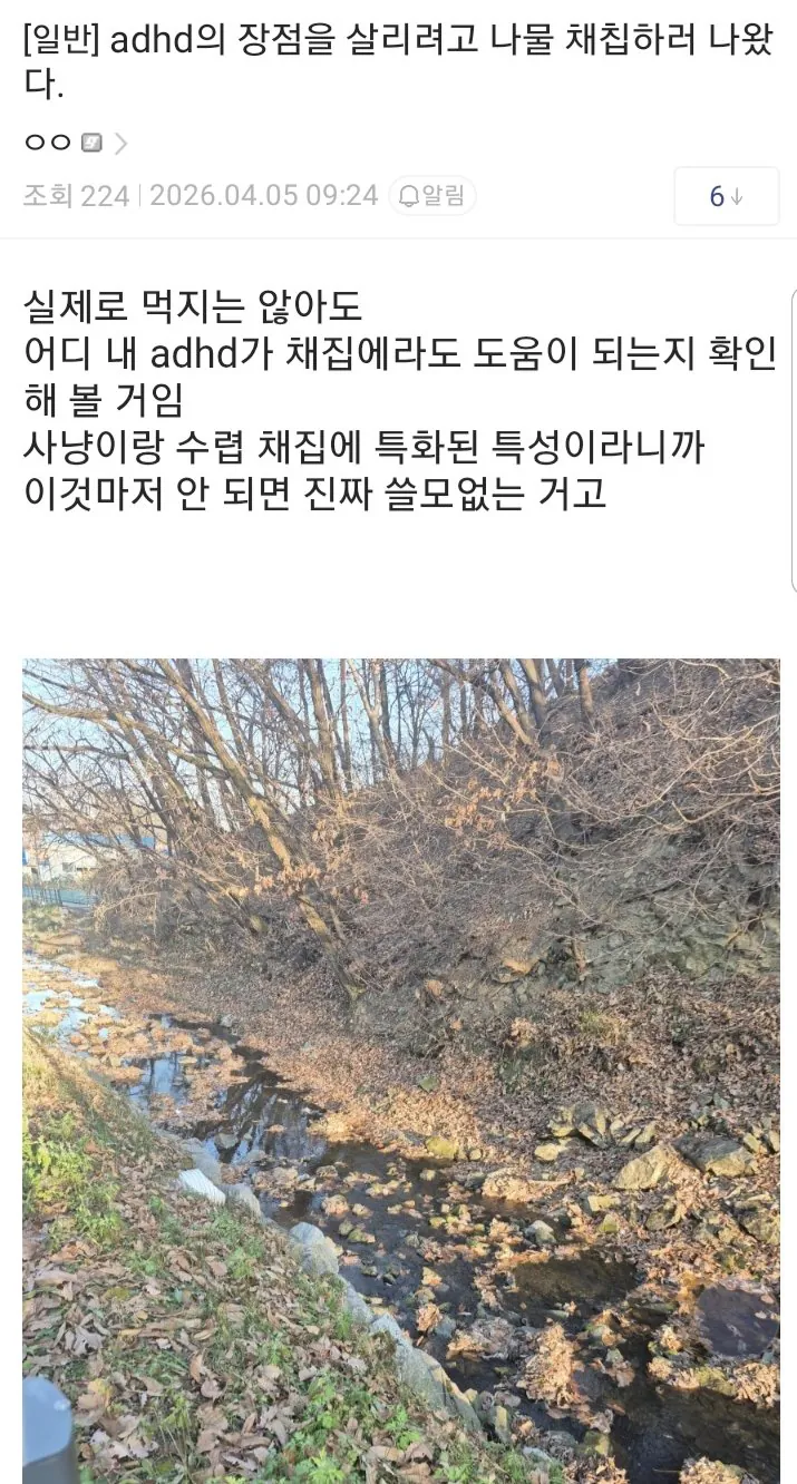 싱글벙글 ADHD 갤러리 근황