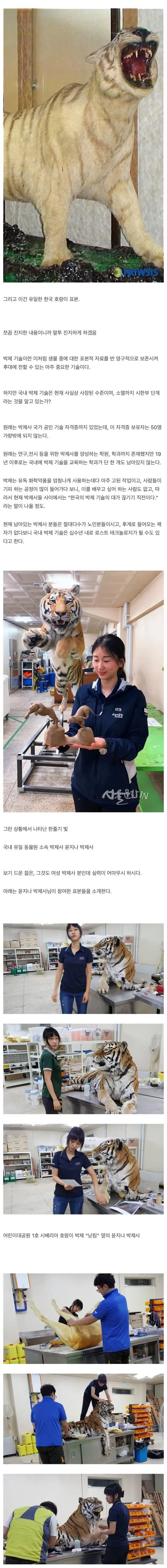 국내에서 소멸되고 있다는 박제 기술-2