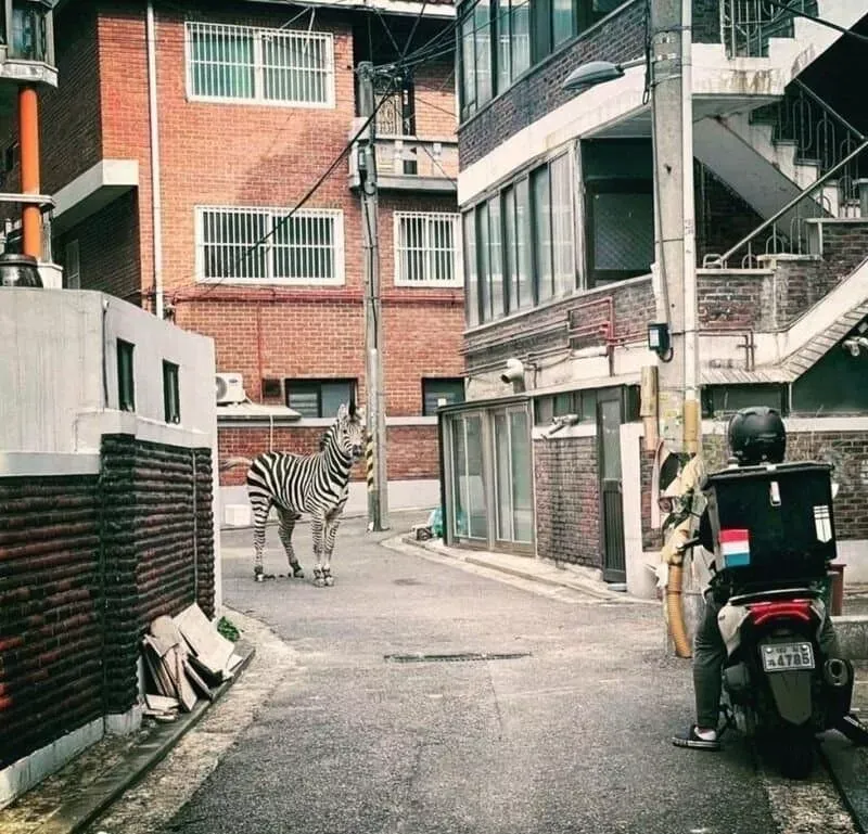 대한민국 역대 퓰리쳐상 후보들-4