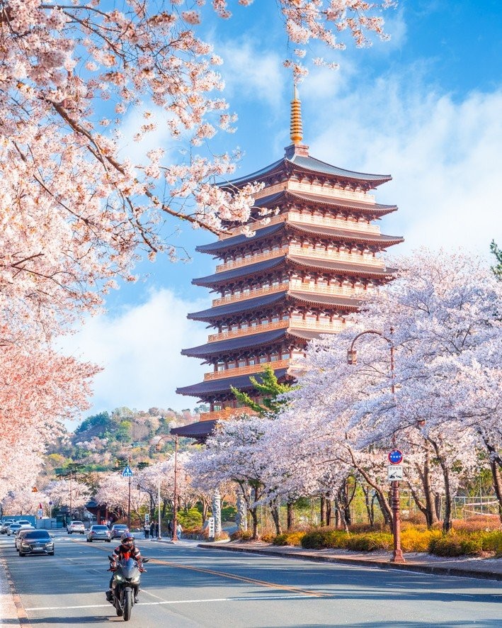 외국인이 여행와서 찍은 경주 사진들-2